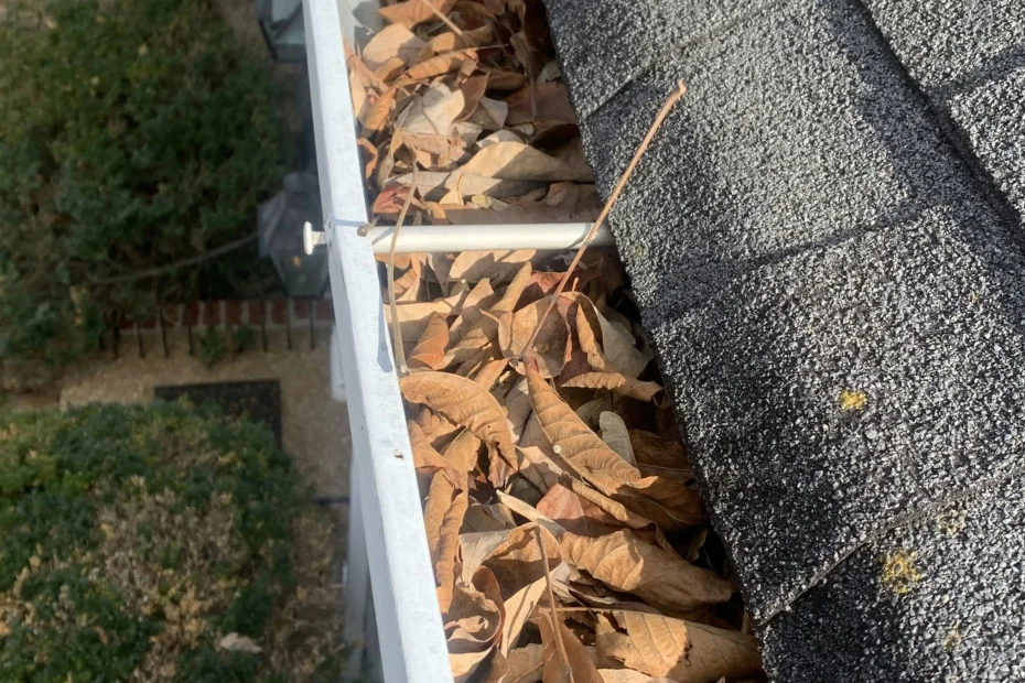 Gutter Cleaning Whitehall PA