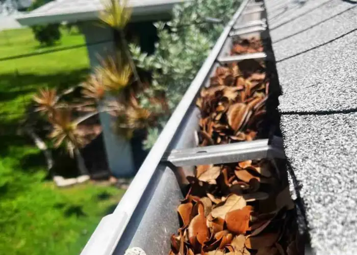 Gutter Cleaning Whitehall PA home page